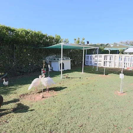 Casa Lu Ientu Apartment *